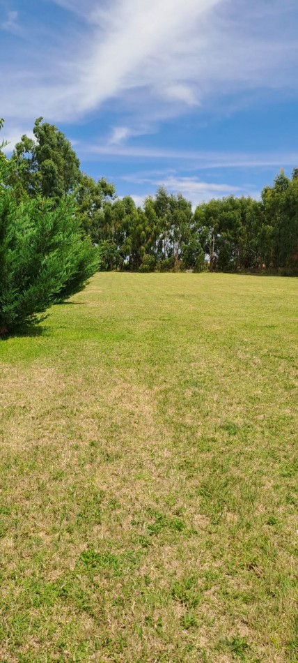 Quinta en venta