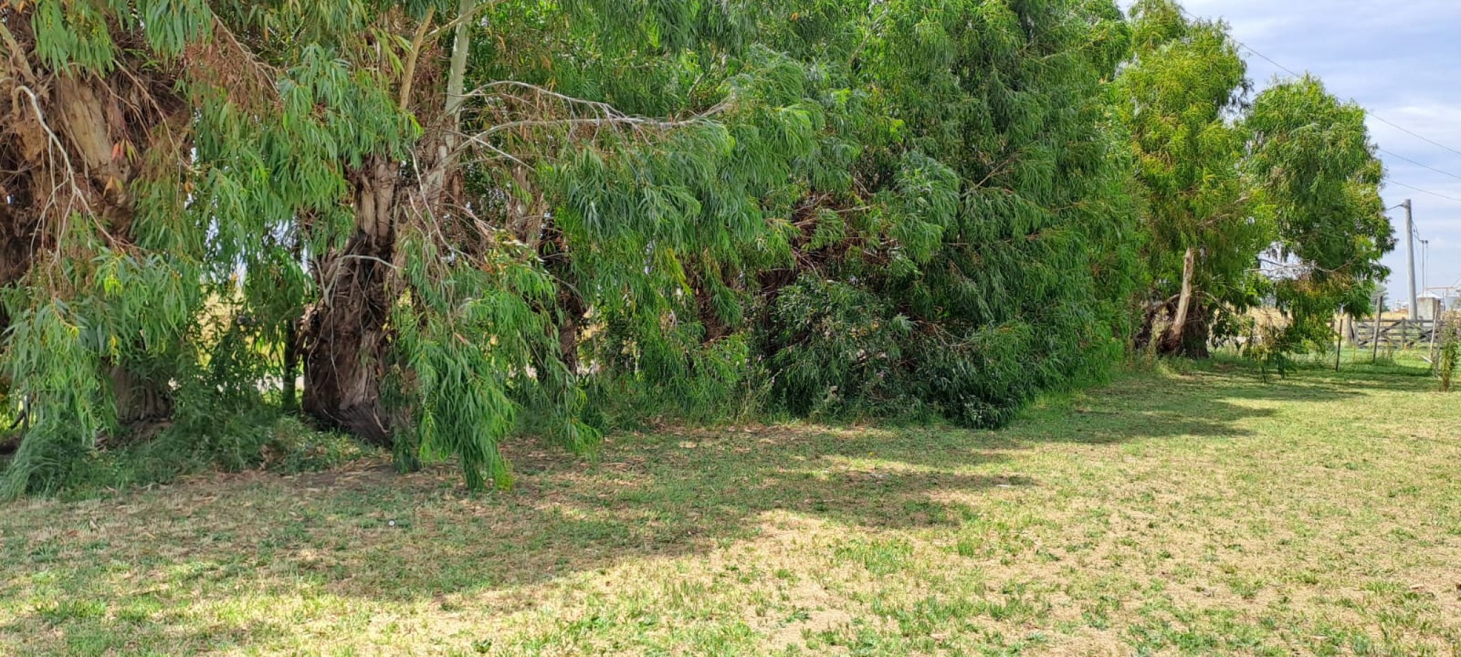 Quinta en venta